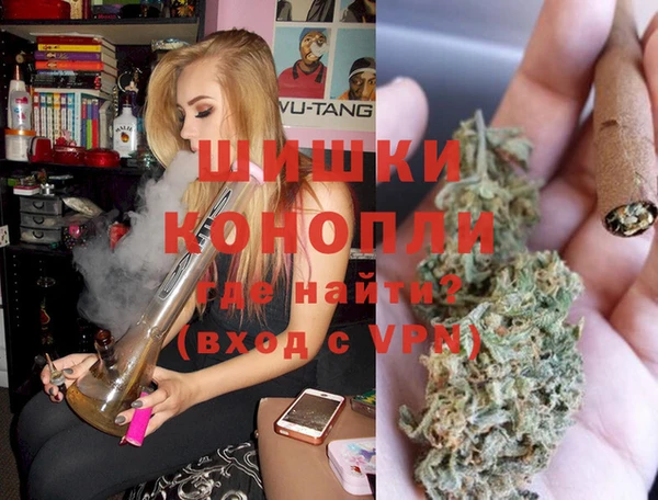 бошки Белокуриха